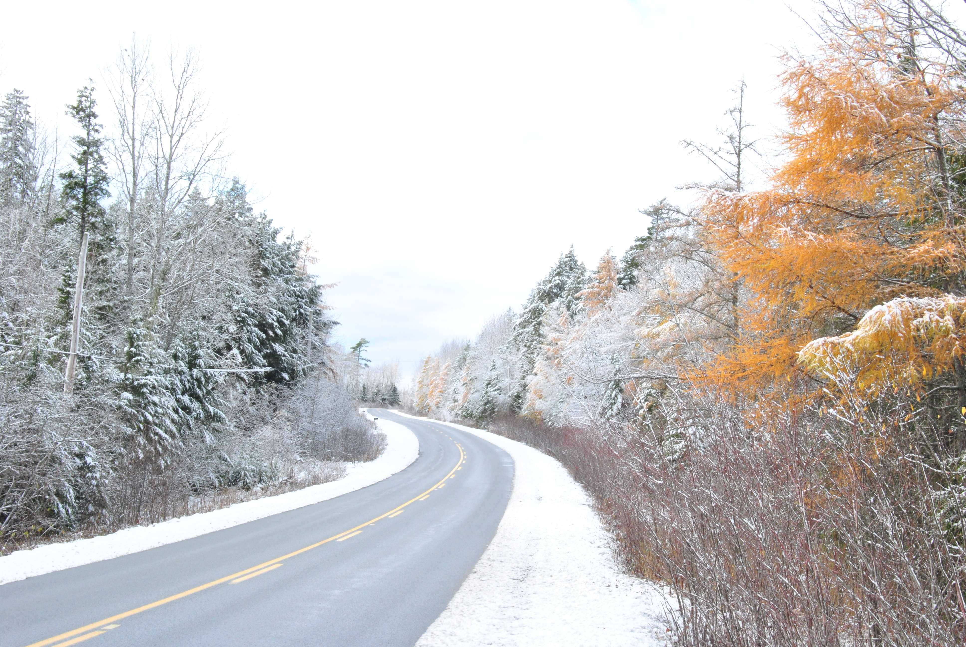 Nova Scotia Country Living